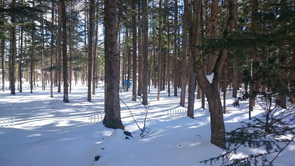 Pension Candytuft Karuizawa Extérieur photo